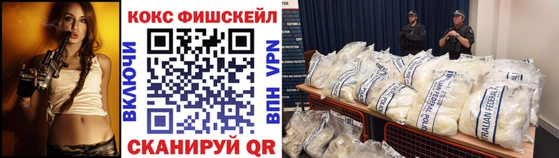 Купить где  Кудымкар  Кокаин Fish Scale 