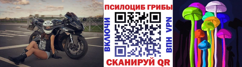 Псилоцибиновые грибы MAGIC MUSHROOMS Купить Кудымкар